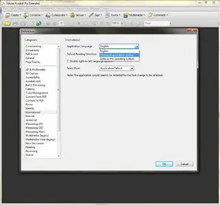 Adobe Acrobat Professional Extended 9.2.0.124 Multilingual. In the complete video course in Russian (Updated 01/01/2010)