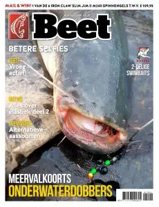 Beet - April 2019