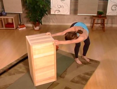 Yoga Link Shoulder Shape-Up: Shoulder Solutions from Hands to Heart with Jill Miller