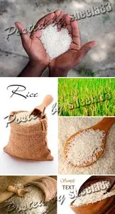 Stock Photo - Rice