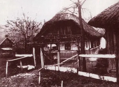 Báré (Bărăi) – Magyarpalatka (Palatca). The Mácsingó Family. Village music from the Transylvanian Heath (Belső-Mezőség)