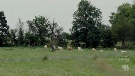 Snapped S23E15
