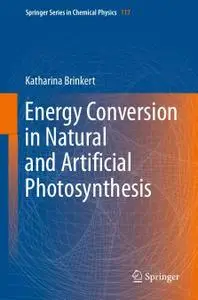 Energy Conversion in Natural and Artificial Photosynthesis (Repost)