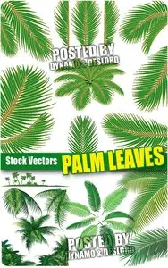 Palm leaves - Stock Vectors