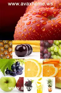 Fruit