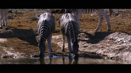 Namibia - The Spirit of Wilderness (2016)