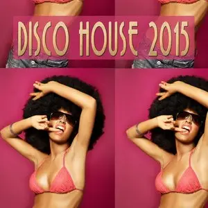 Various Artists - Disco House 2015 (2015)