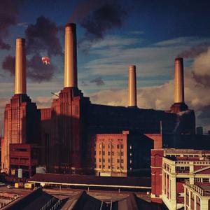 Pink Floyd - Animals (1977/2021) [Official Digital Download 24/192]