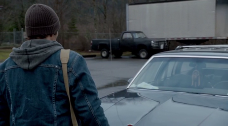 Grizzly (2014)
