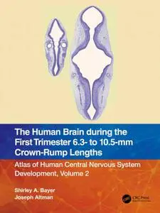 The Human Brain during the First Trimester 6.3- to 10.5-mm Crown-Rump Lengths