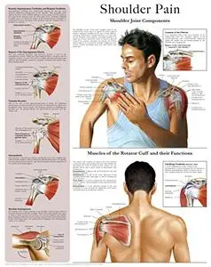 Shoulder Pain e-chart: Quick reference guide