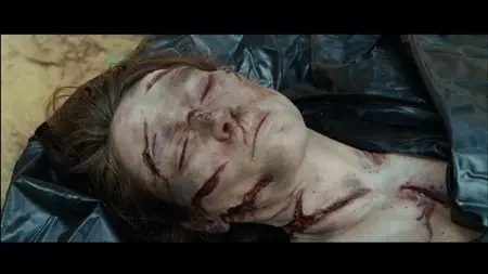 Tell No One (2006)