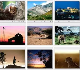 WebShots Collection. Part 1