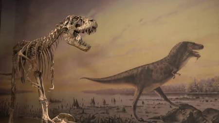 Coursera - Dino 101: Dinosaur Paleobiology