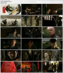 Wushu Warrior (2008)