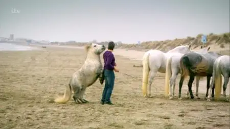 Animals. S01E04