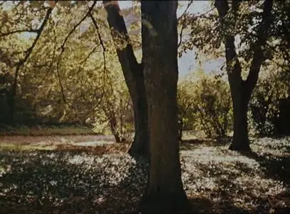 Agnès Varda - Ô saisons, Ô chateaux (1957)