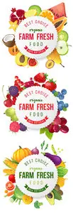 Farm Fresh Food Labels Vector