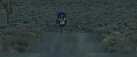 Wild / Дикая (2014)