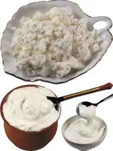 Dairy products - cream, cottage cheese