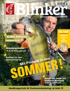 Blinker - Juni 2026