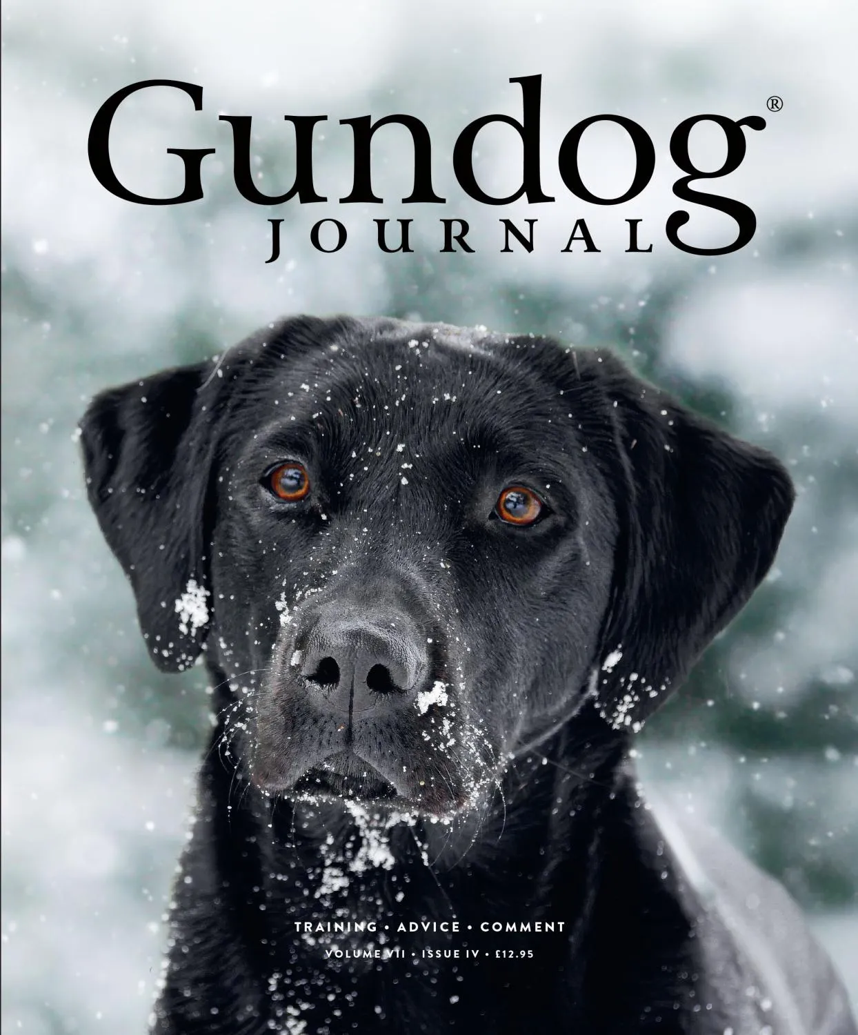 Gundog Journal - November 2025
