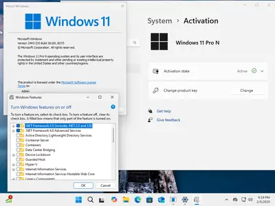 Windows 11 AIO 16in1 24H2 Build 26100.3037 (No TPM Required) Multilingual Preactivated