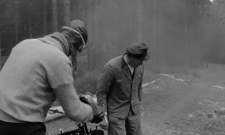 Heimat A Chronicle of Germany / Heimat - Eine deutsche Chronik (1984) [Complete Season]