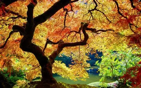 Autumn Wallpapers (HQ)