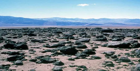 PBS Life in Death Valley