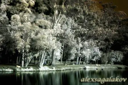 SuperNaturel Pictures