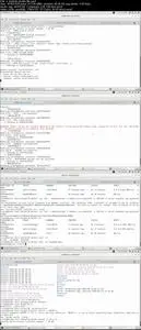 Learn Docker from Scratch to Docker Swarm: for Devops