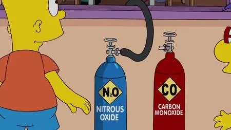 Die Simpsons S21E06