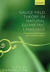 Gauge Field Theory in Natural Geometric Language