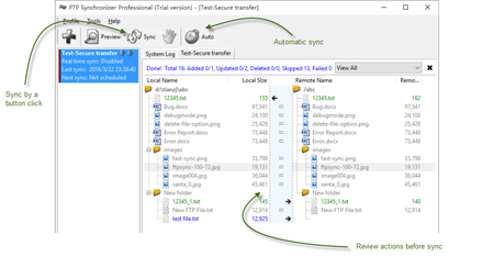 FTP Synchronizer Professional 7.3.25.1263 Multilingual