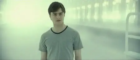 Harry Potter and the Deathly Hallows: Part 2 / Harry Potter et les reliques de la mort - 2ème partie (2011)