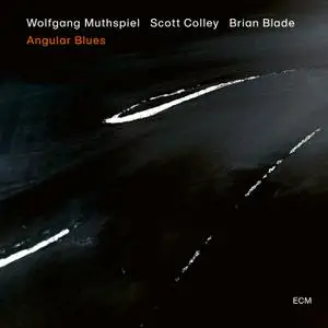 Wolfgang Muthspiel, Scott Colley, Brian - Angular Blues (2020) [Official Digital Download 24/96]