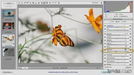 Photoshop for Video Editors: Core Skills
