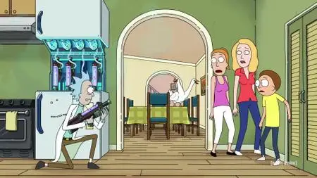 Rick and Morty S04E09