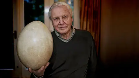 BBC - Attenborough and the Giant Egg (2011)