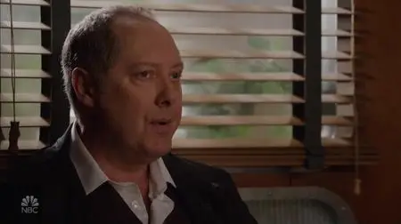 The Blacklist S09E20