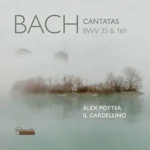 Leo van Doeselaar, Alex Potter & il Gardellino - Bach: Cantatas, BWV 35 & 169 (2023)
