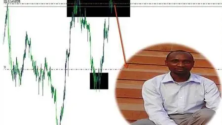 Forex Mastery Course To Profitability