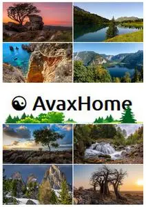 Nature AvaxHome Wallpapers 6