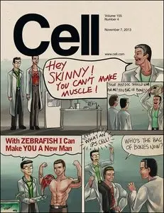 Cell - 7 November 2013