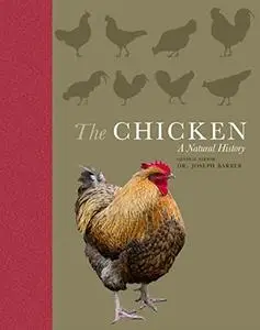 The Chicken: A Natural History