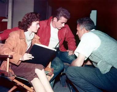 Rebel Without a Cause (1955) untouched [DVD9] + additional bonus