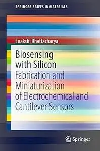 Biosensing with Silicon: Fabrication and Miniaturization of Electrochemical and Cantilever Sensors