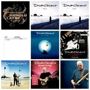 David Gilmour - CD Single and Promo 2006-2007