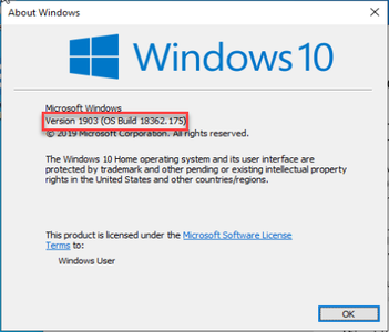 Microsoft Windows 10 Home Edition 1903 (OS Build 18362.175) Preactivated